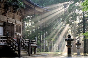 Wooden Temple In The Woods Wallpaper