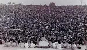 Woodstock Black And White Crowd Wallpaper
