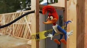 Woody Woodpecker 1280 X 719 Wallpaper