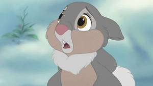 Worried Thumper Wallpaper