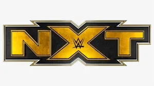 Wwe Logo Illuminated By Bright White Light Wallpaper