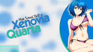 Xenovia Quarta Highschool Dxd Wallpaper