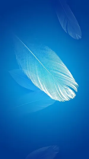 Xiaomi Feather In Blue Wallpaper