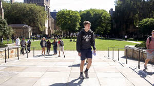 Yale University Open Space Wallpaper