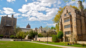 Yale University Quad Wallpaper