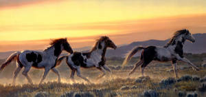 Yellow 4k Sky With Nancy Glazier Horses Wallpaper