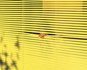Yellow Aesthetic Minimalistic Blinds Wallpaper