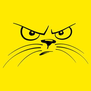 Yellow Angry Cat Wallpaper