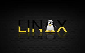 Yellow Black Linux Penguin Logo Wallpaper