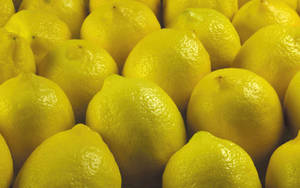 Yellow Citrus Lemons Wallpaper