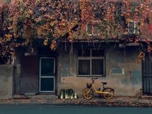 Yellow City Bike And Falling Leaves Wallpaper