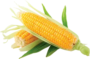 Yellow Corn With Leaves Wallpaper