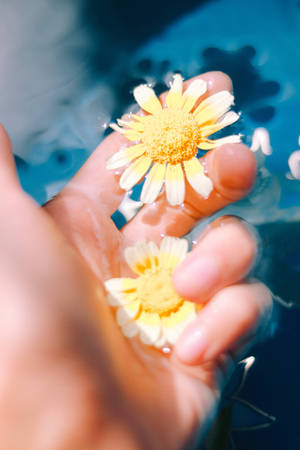 Yellow Flower Girly Lock Screen Iphone Wallpaper