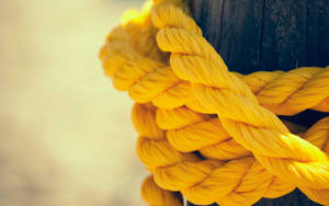 Yellow Hd Rope Wallpaper