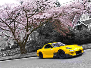 Yellow Mazda Rx 7 Under Sakura Tree Wallpaper