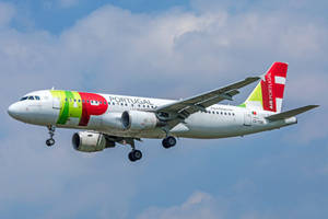 Yellow Red Tap Portugal Aircraft Wallpaper