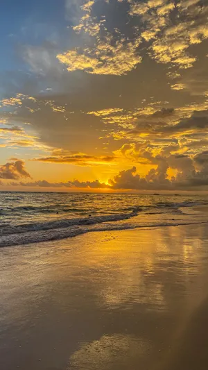 Yellow Sunset On The Beach Wallpaper