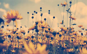 Yellow Vintage Flower Wallpaper