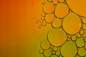 Yellow Water Dew Abstract Art Wallpaper