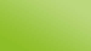 Yellowish Super Light Green Gradient Wallpaper