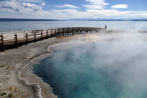 Yellowstone National Park Black Pool Wallpaper