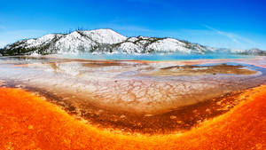 Yellowstone National Park Chromatic Spring Wallpaper