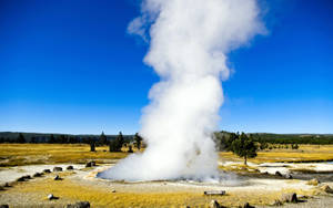 Yellowstone National Park Ojo Caliente Wallpaper