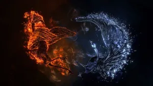 Yin Yang 4k Fire And Ice Phoenixes Wallpaper