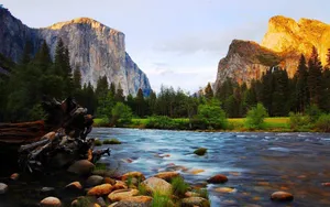 Yosemite National Park Golden Sun Wallpaper