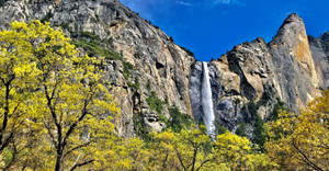 Yosemite National Park Spring Wallpaper