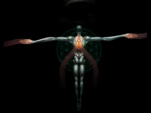 You Lied By Tool Wallpaper