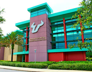 Yuengling Center At University Of South Florida Wallpaper