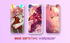 Zero Two Collage Wallpaper